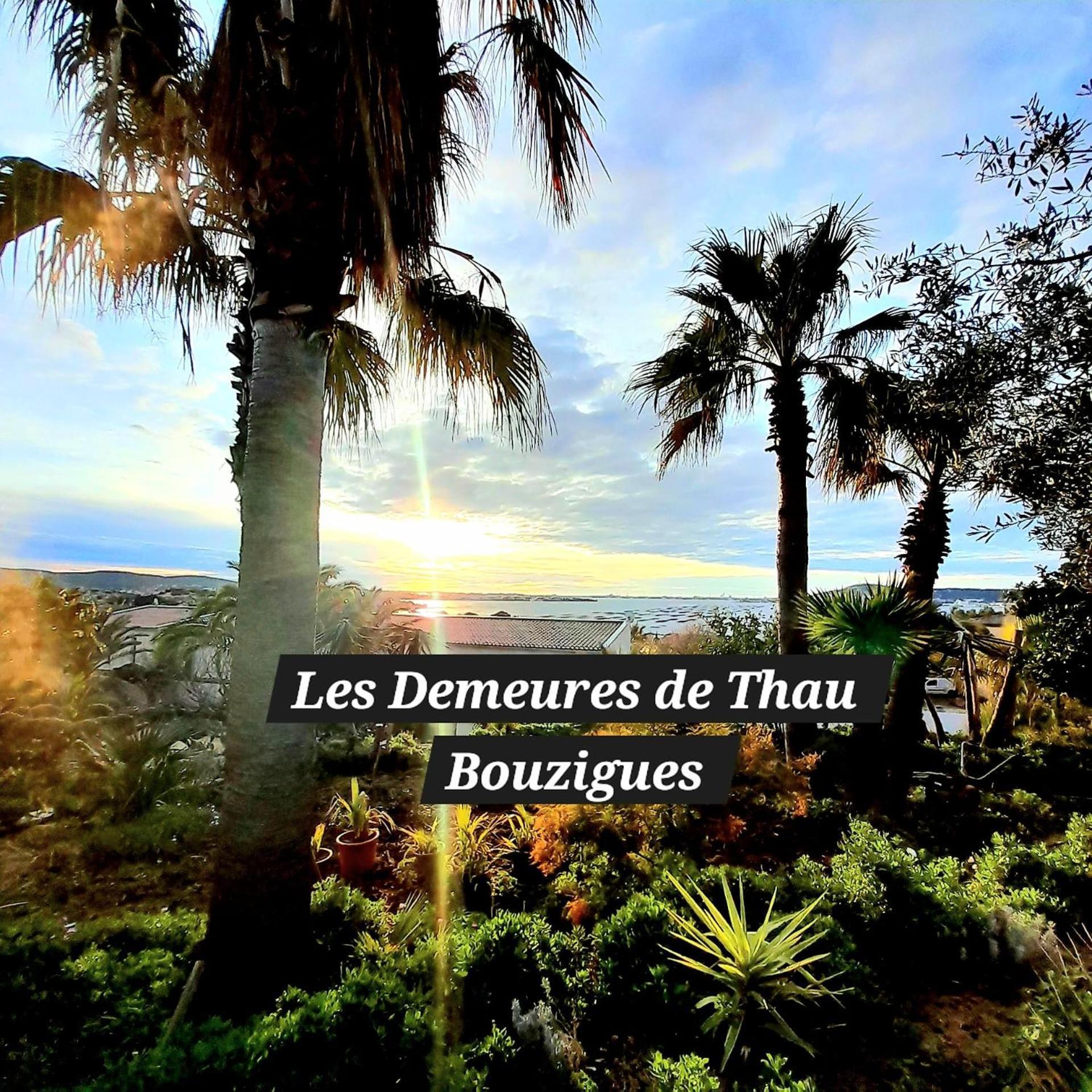havre de paix dans jardin méditerranéen Bouzigues Extérieur photo